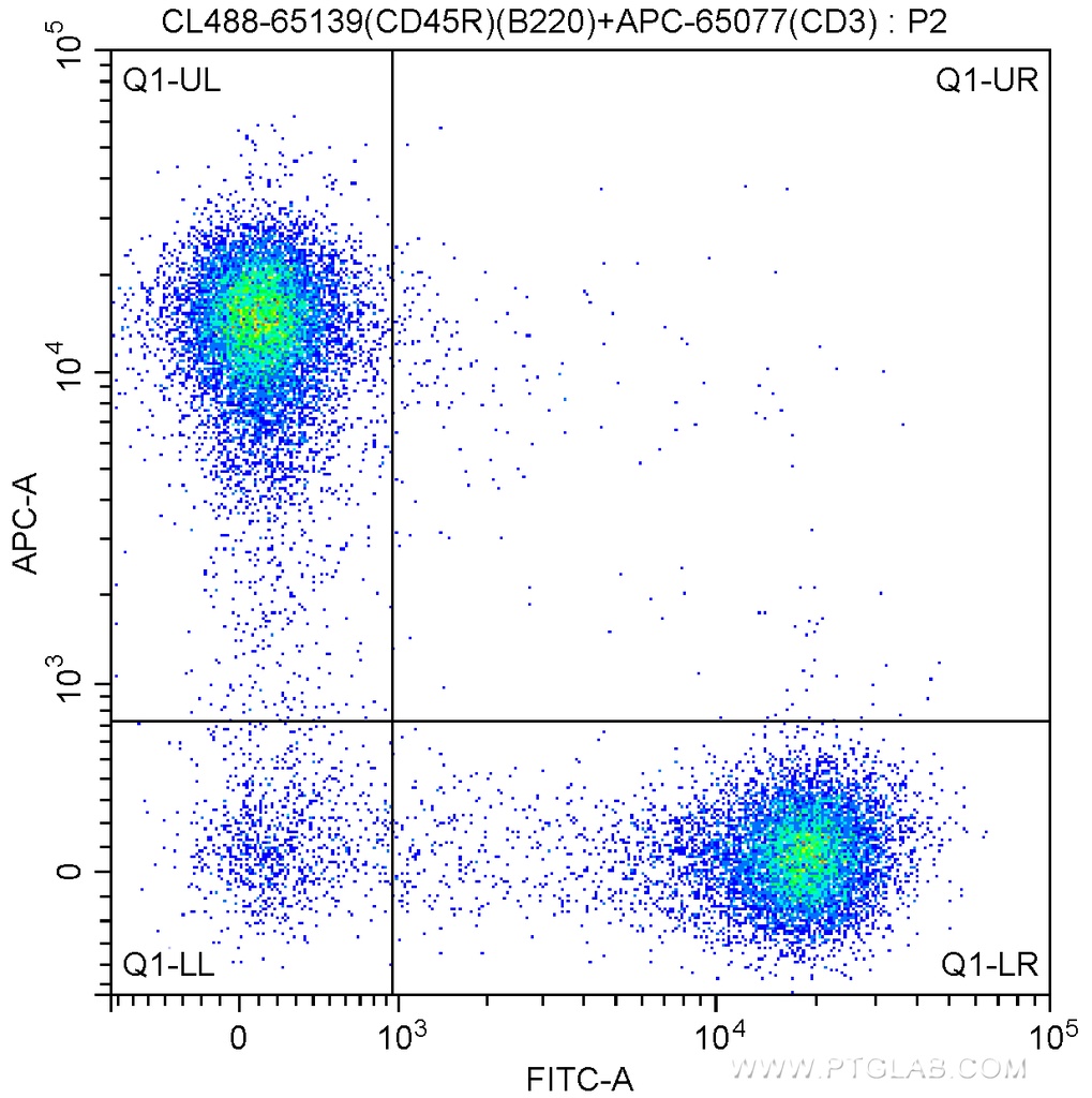 CoraLite®488 Anti-Mouse CD45R (B220) (RA3-6B2)