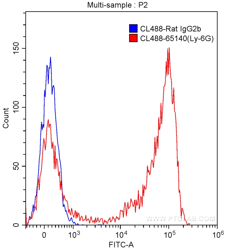 CoraLite®488 Anti-Mouse Ly-6G (Gr-1) (RB6-8C5)