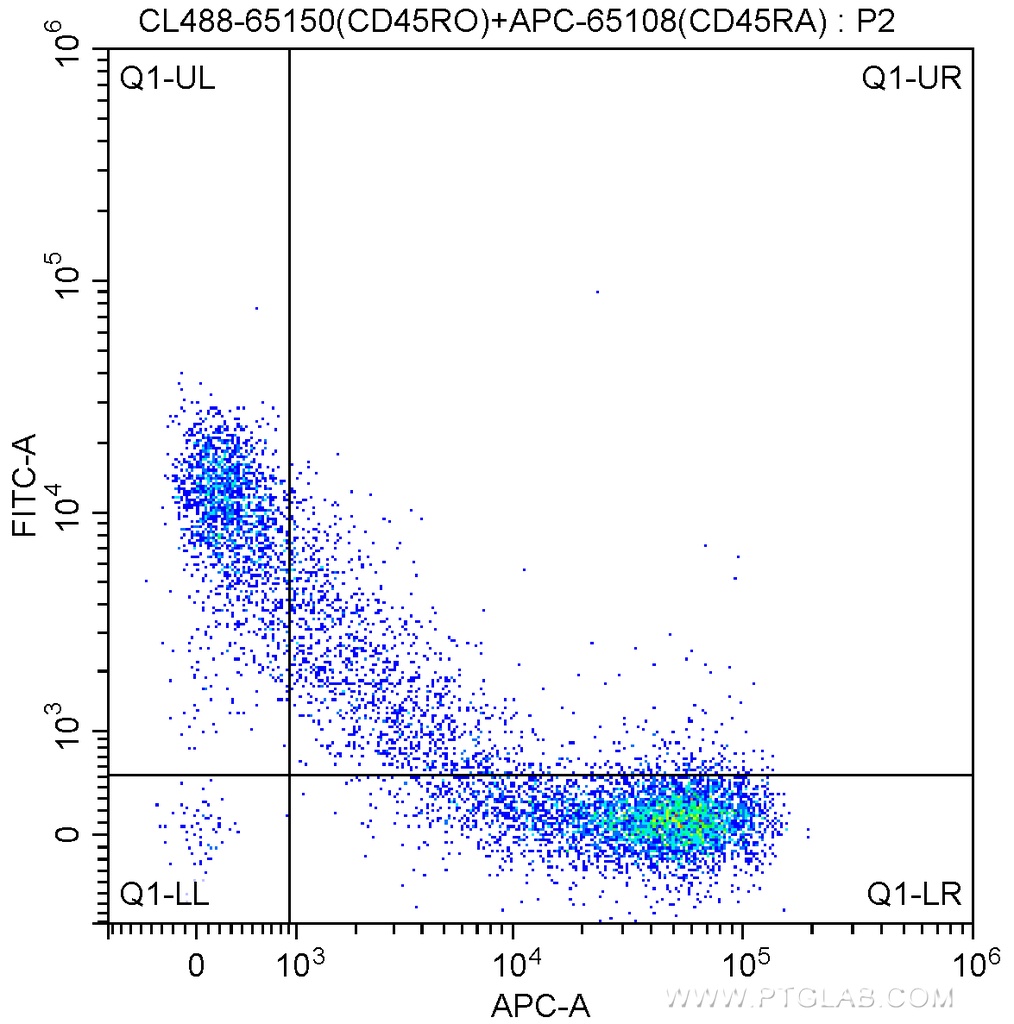CoraLite®488 Anti-Human CD45RO (UCHL1)