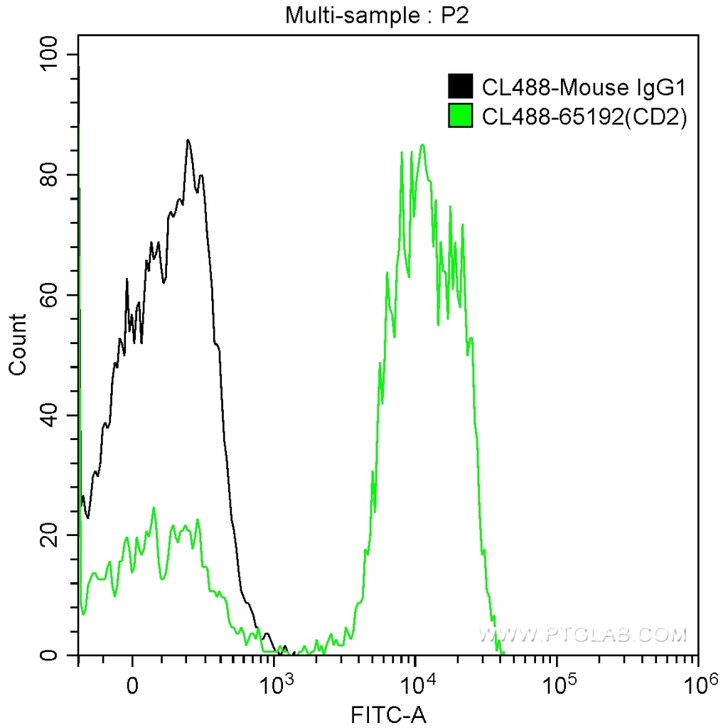 CoraLite®488 Anti-Human CD2 (TS1/8)