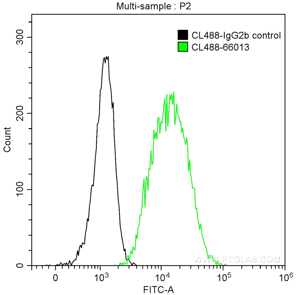 CoraLite®488-conjugated HLA class I ABC Monoclonal antibody