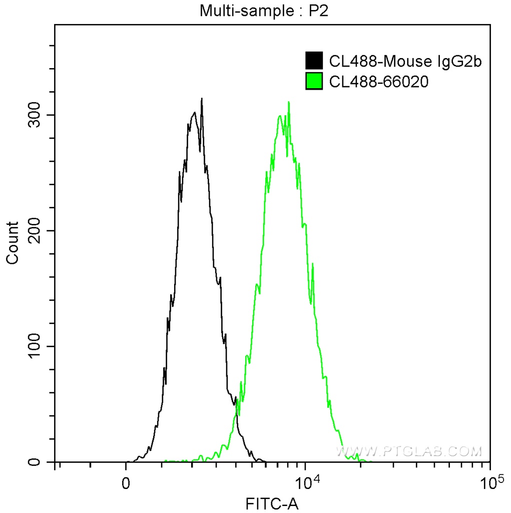 CoraLite®488-conjugated Bcl-XL Monoclonal antibody