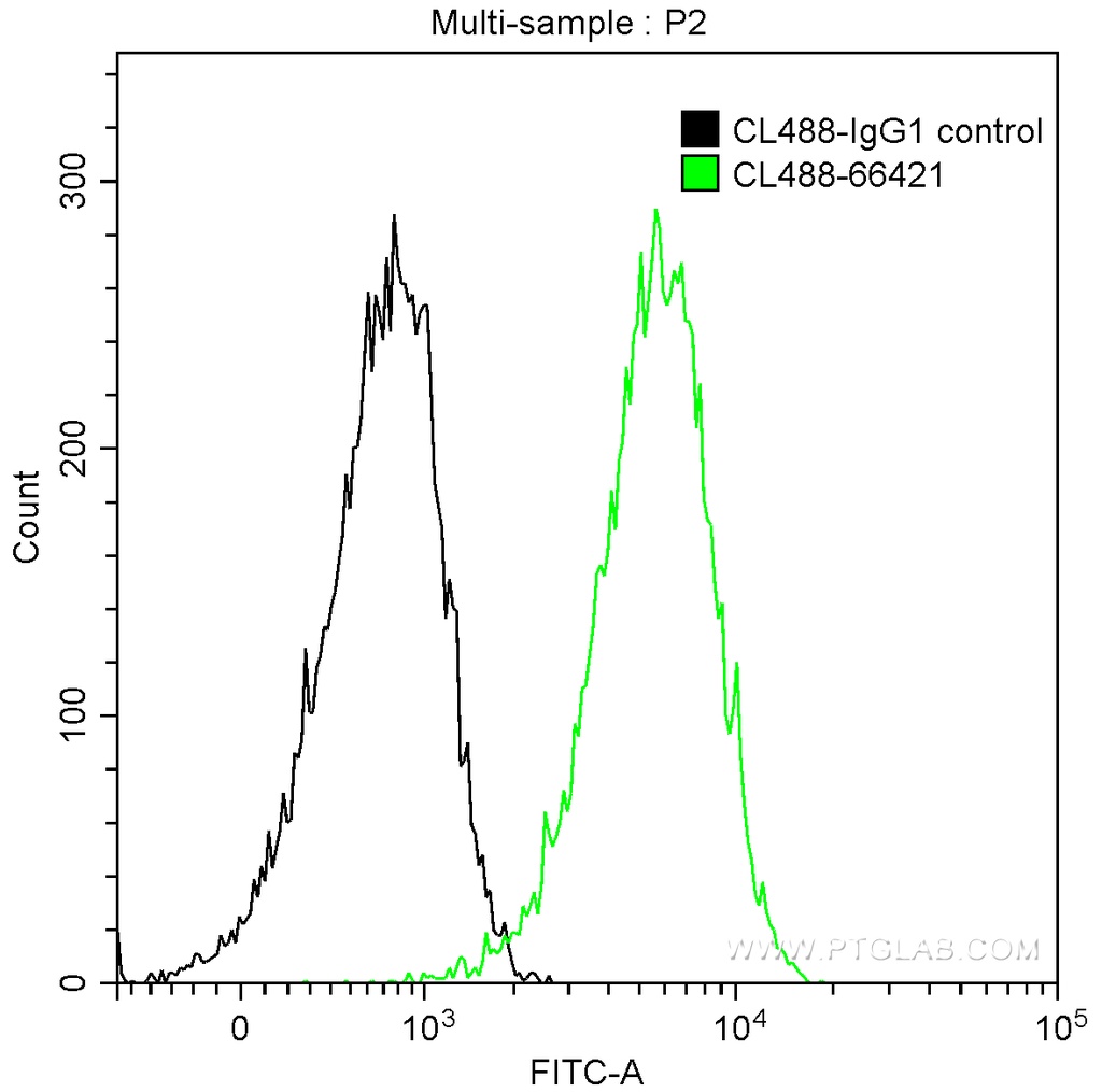 CoraLite®488-conjugated PKC Alpha Monoclonal antibody