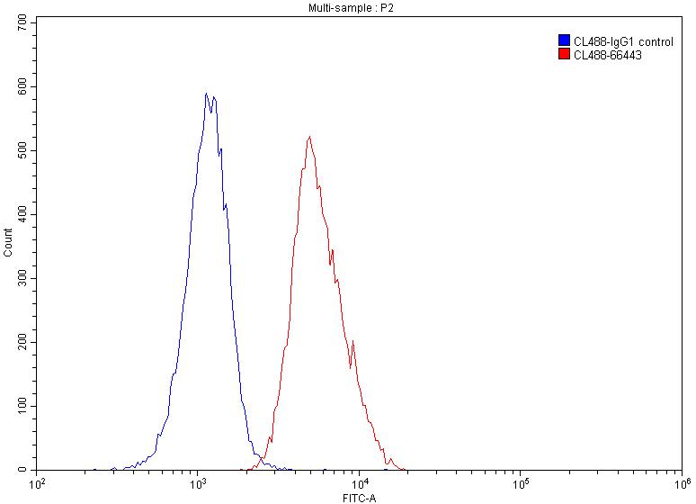 CoraLite®488-conjugated CD147 Monoclonal antibody