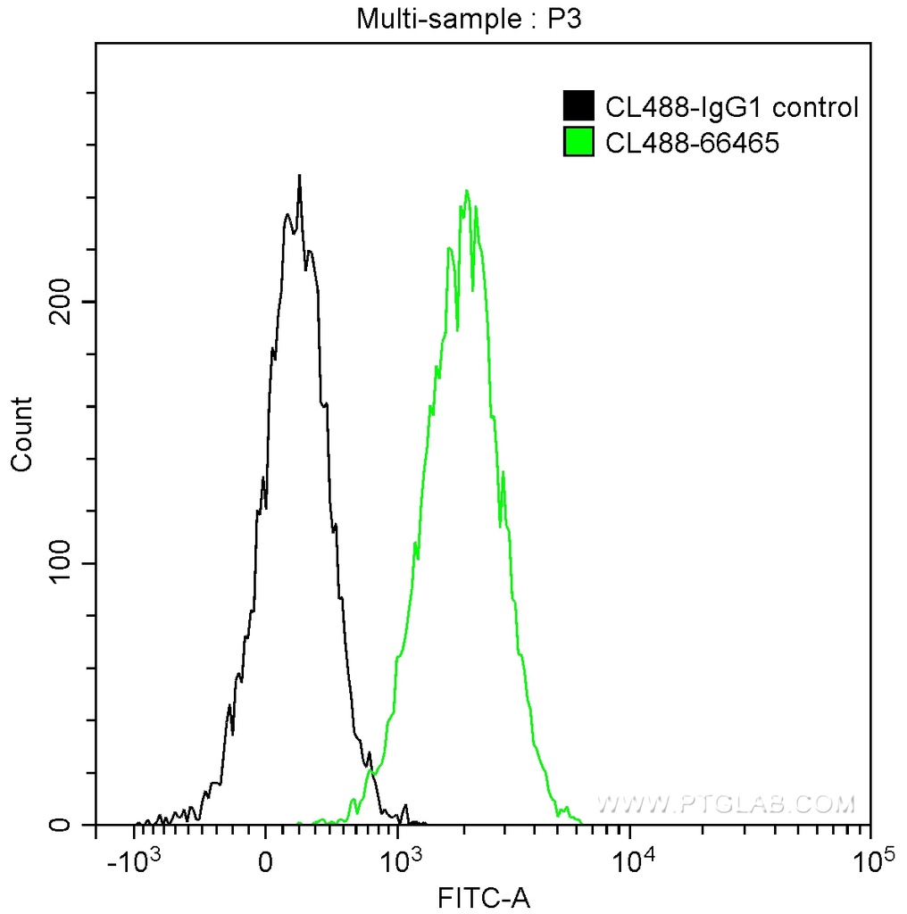 CoraLite®488-conjugated SLP76 Monoclonal antibody