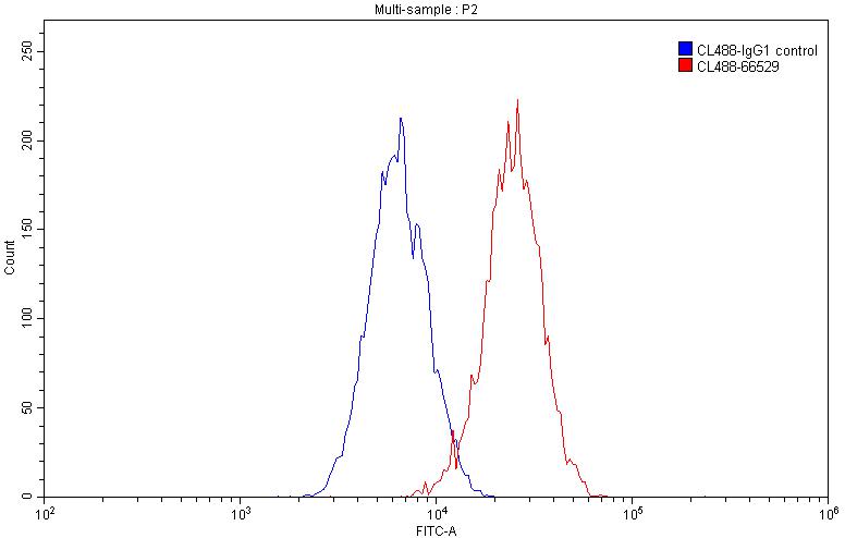 CoraLite®488-conjugated FCGR2A / CD32a Monoclonal antibody