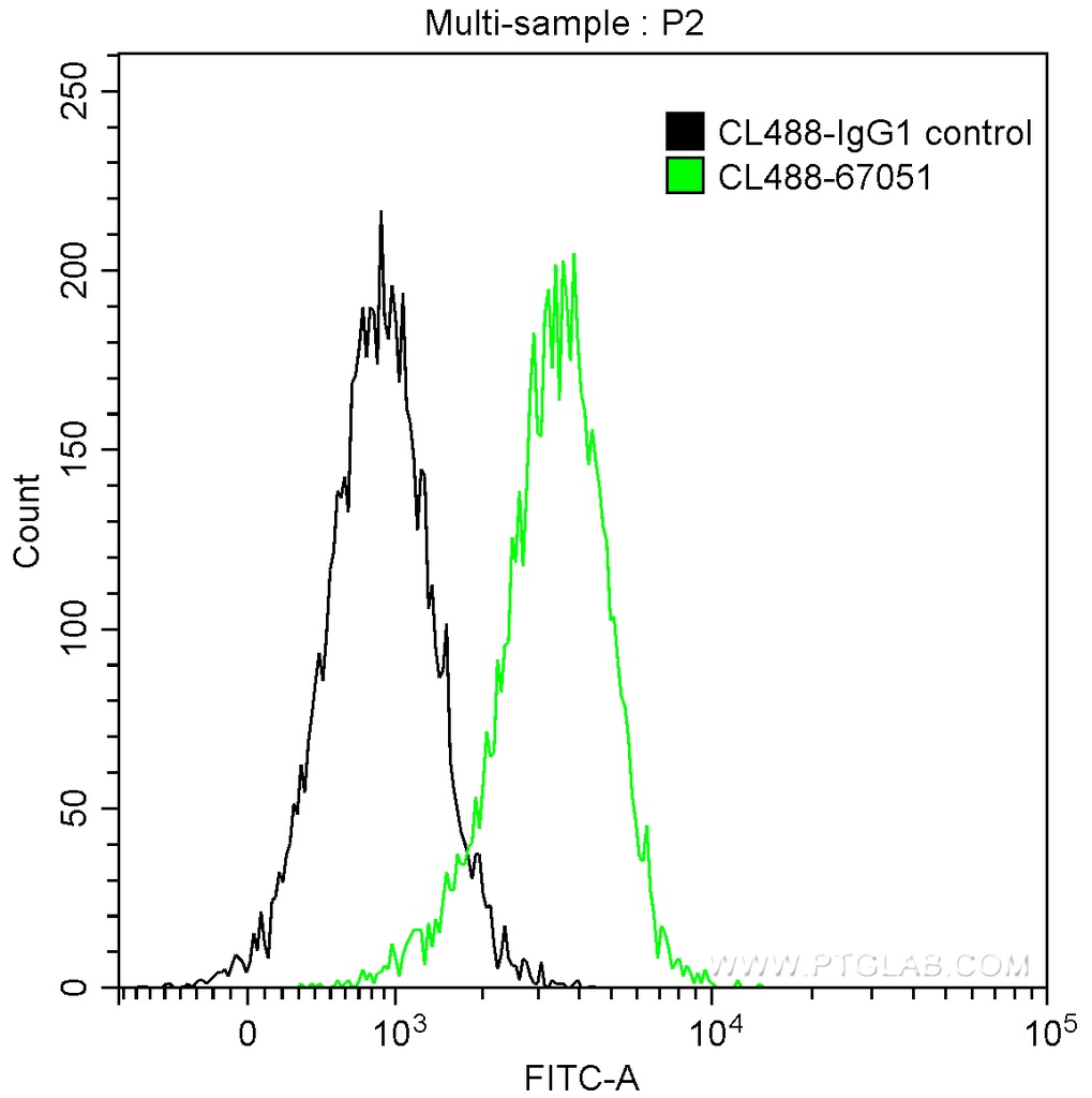 CoraLite®488-conjugated IL-4R Monoclonal antibody