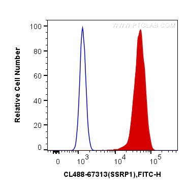 CoraLite®488-conjugated SSRP1 Monoclonal antibody