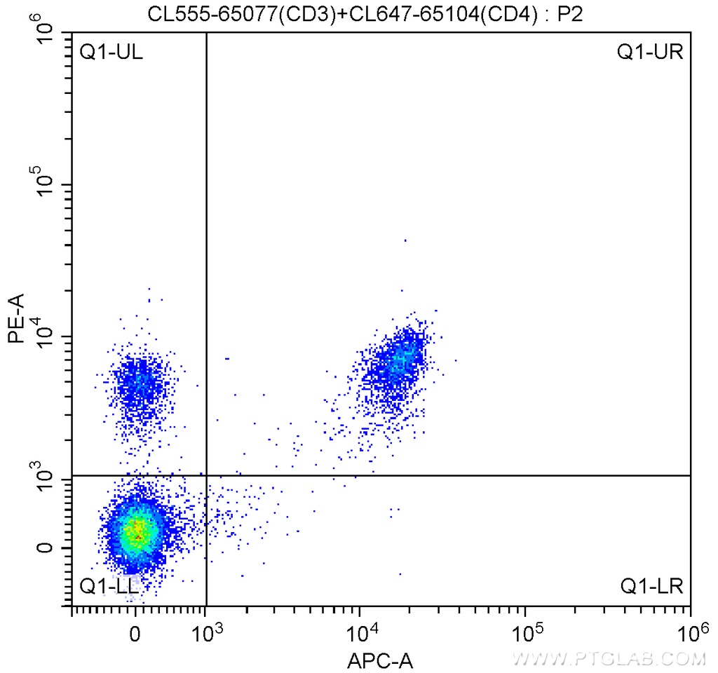 CoraLite®555 Anti-Mouse CD3 (17A2)