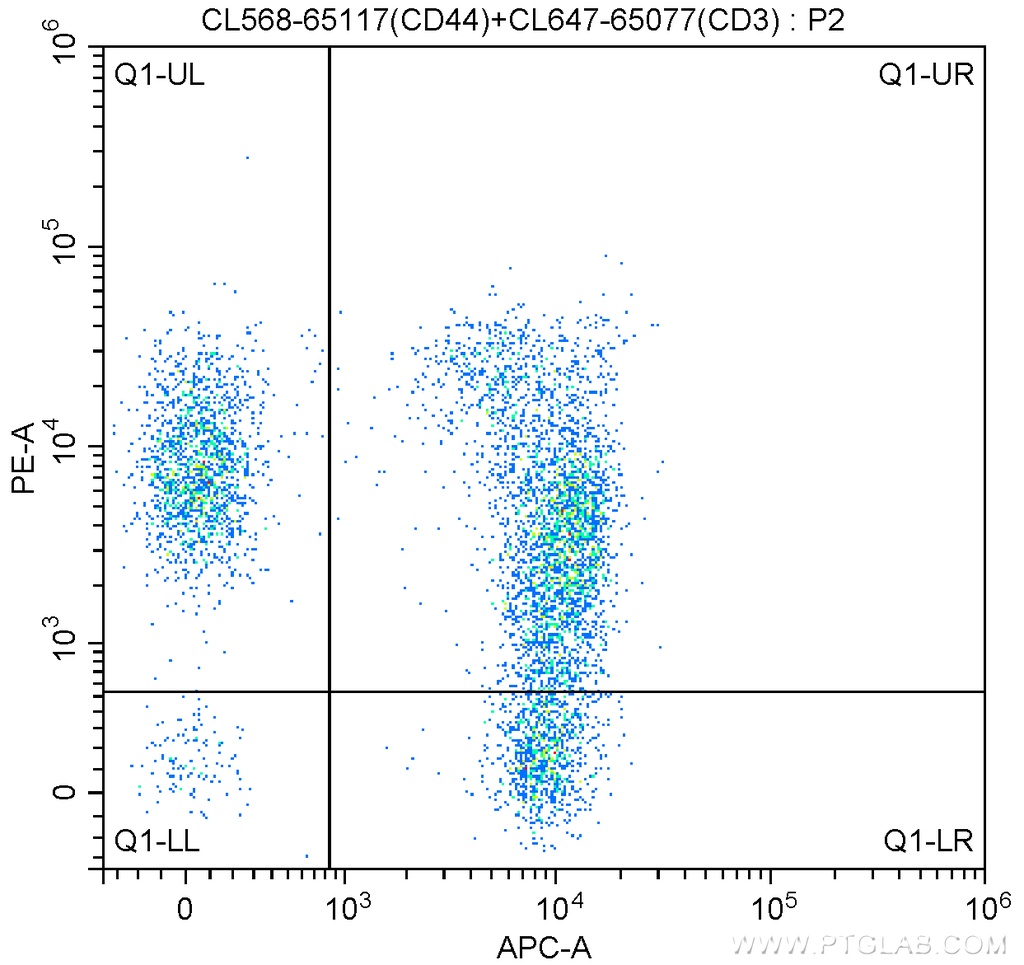 CoraLite®568 Anti-Mouse CD44 (IM7)