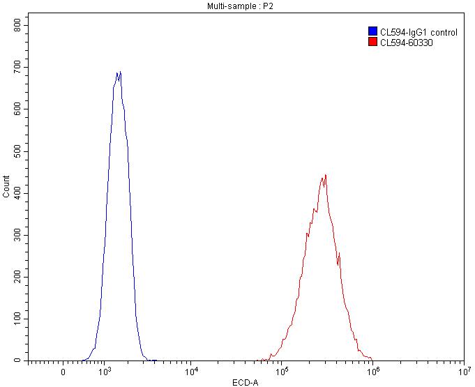 CoraLite®594-conjugated Vimentin Monoclonal antibody