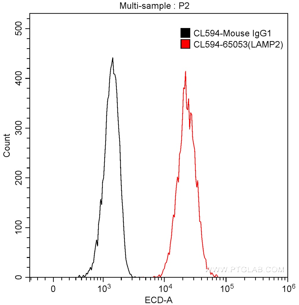 CoraLite®594 Anti-Human CD107b (H4B4)