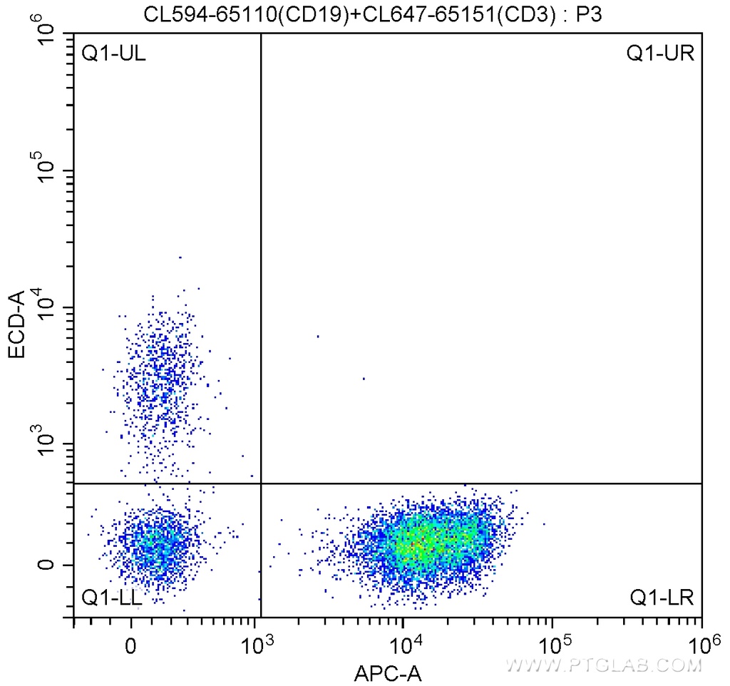 CoraLite®594 Anti-Human CD19 (HIB19)