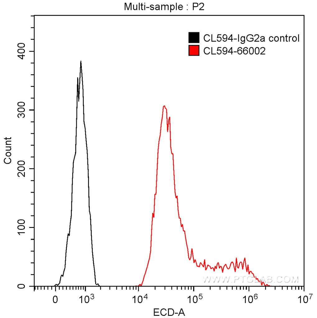 CoraLite®594-conjugated GFP tag Monoclonal antibody
