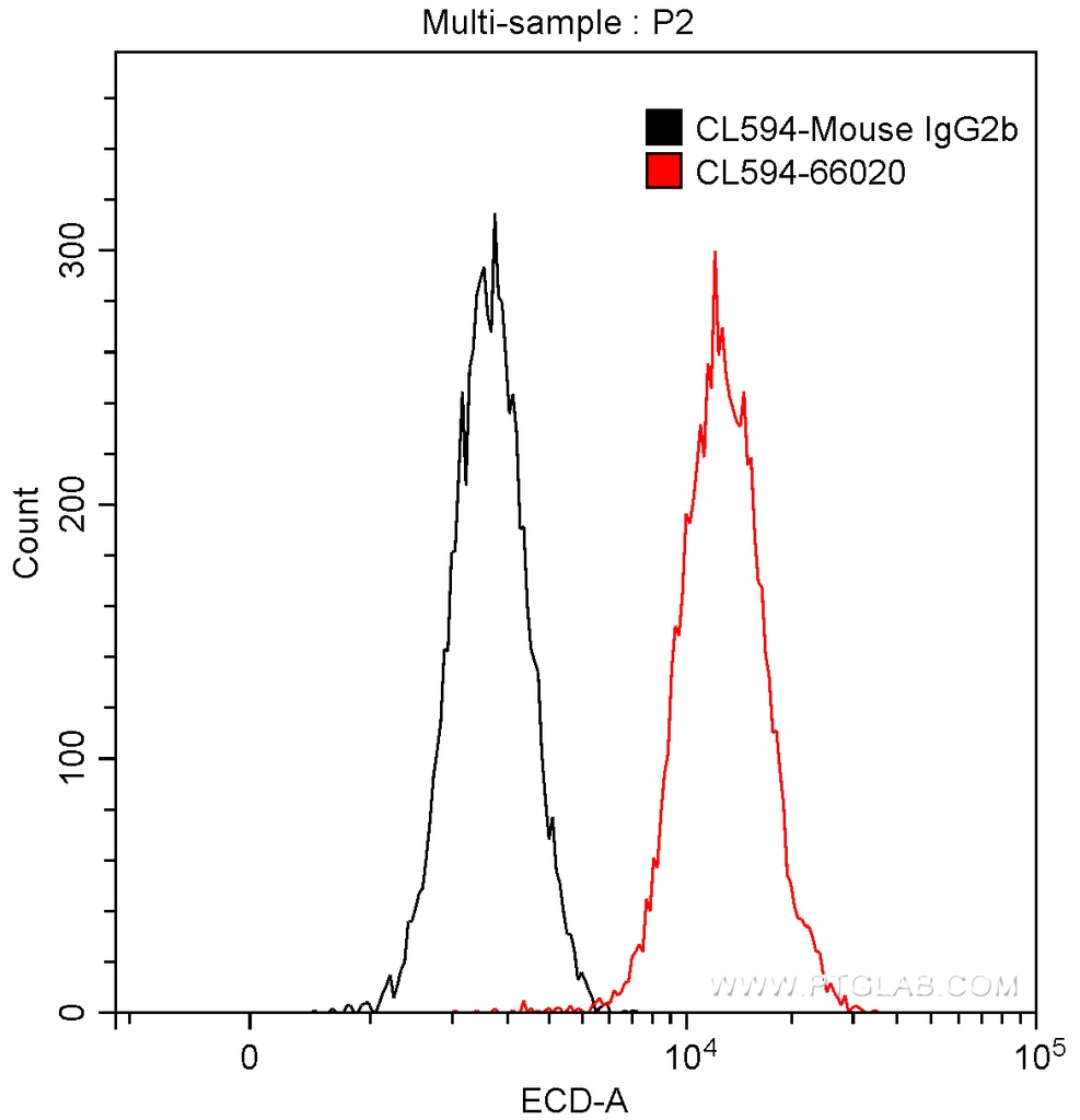 CoraLite®594-conjugated Bcl-XL Monoclonal antibody