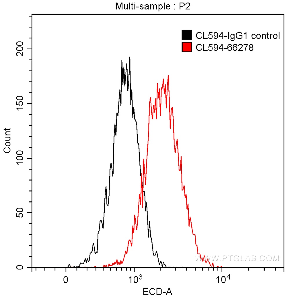 CoraLite®594-conjugated CDK6 Monoclonal antibody
