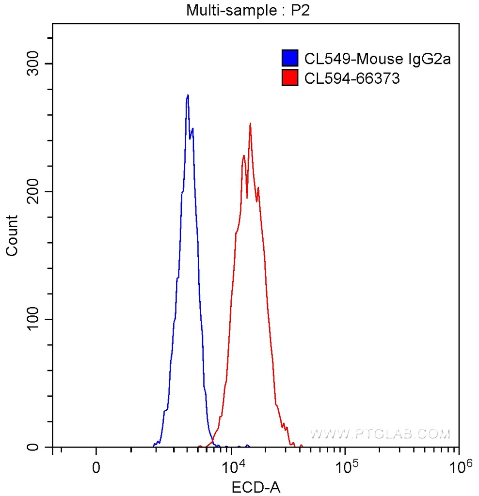 CoraLite®594-conjugated G6PD Monoclonal antibody