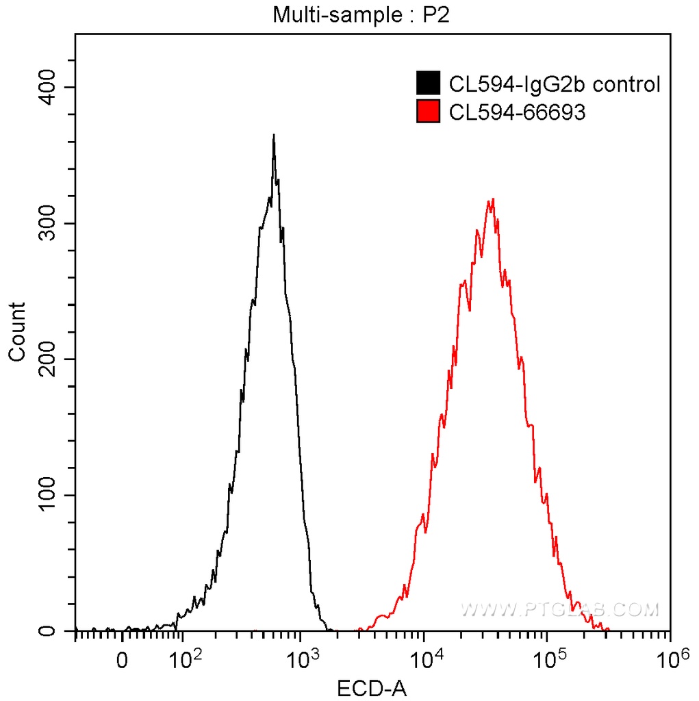 CoraLite®594-conjugated CALD1 Monoclonal antibody