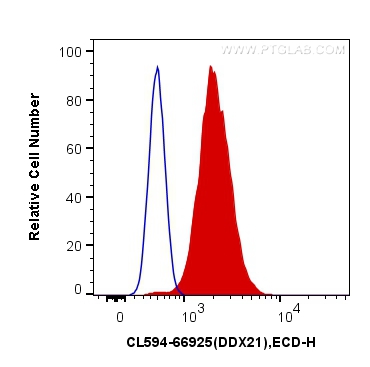 CoraLite®594-conjugated DDX21 Monoclonal antibody