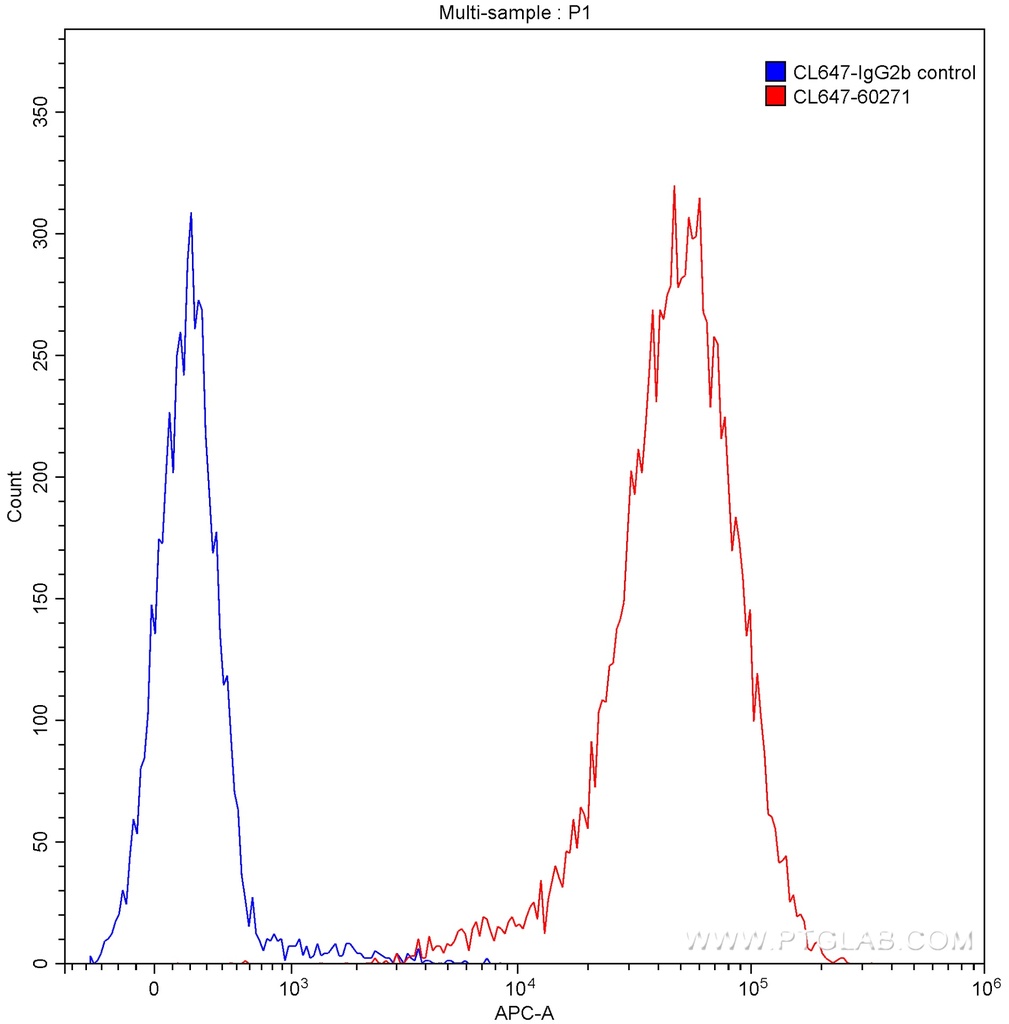 CoraLite®647-conjugated CD20 Monoclonal antibody