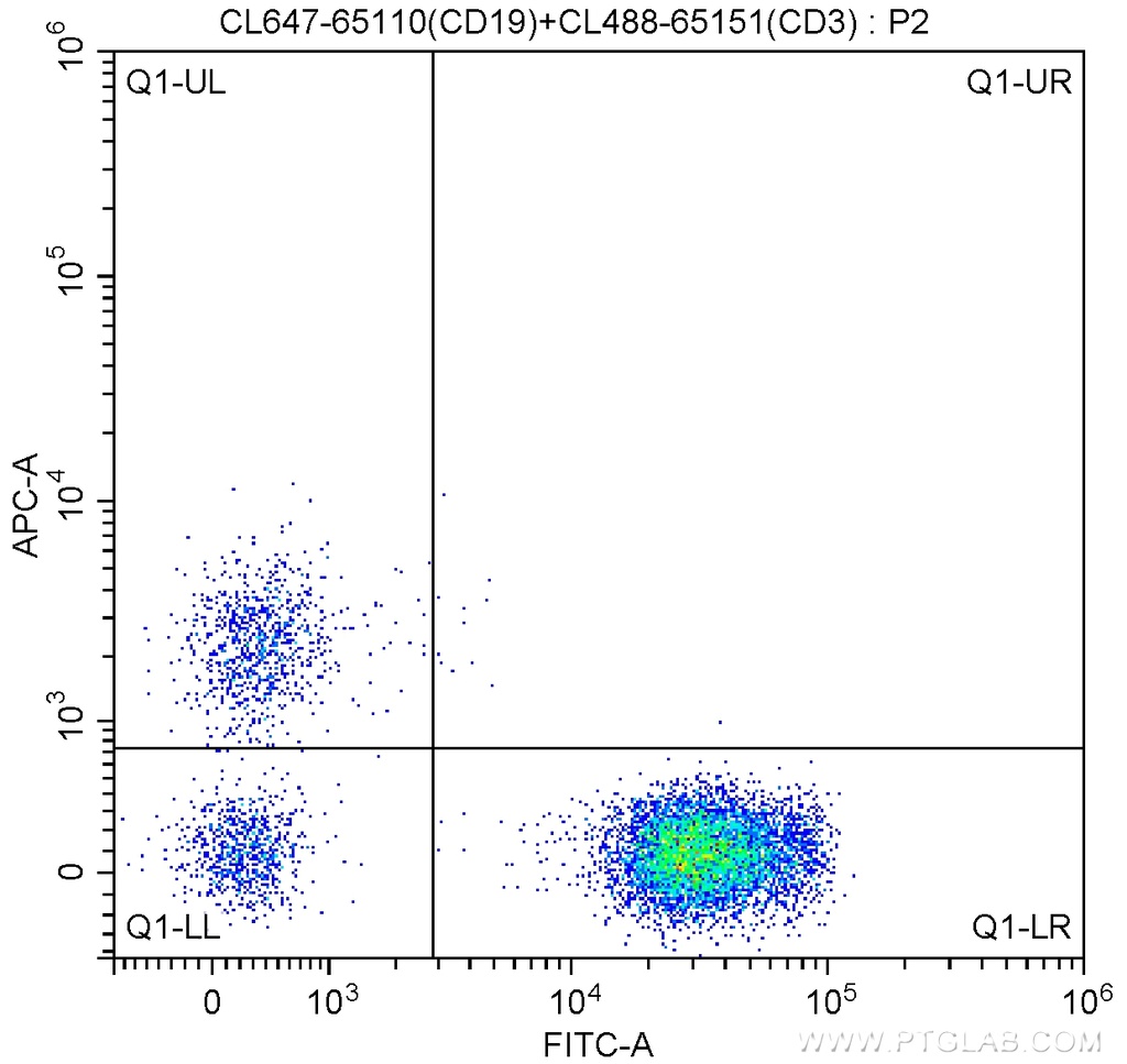 CoraLite®647 Anti-Human CD19 (HIB19)
