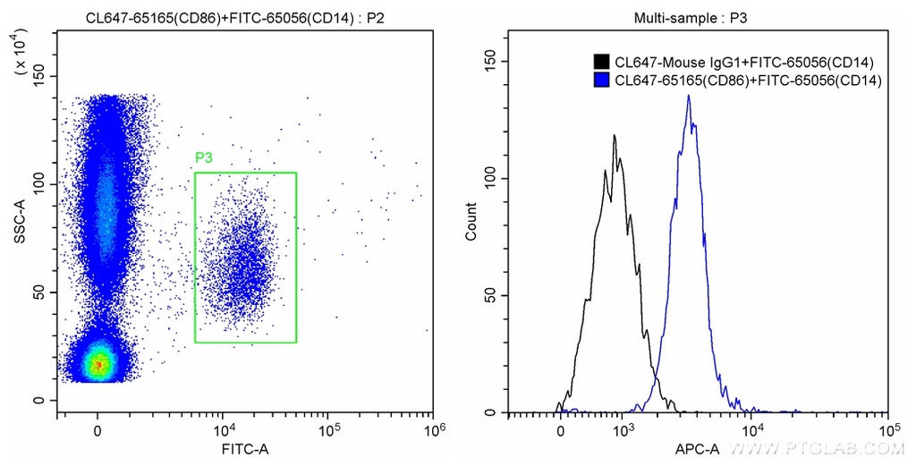 CoraLite®647 Anti-Human CD86 (BU63)