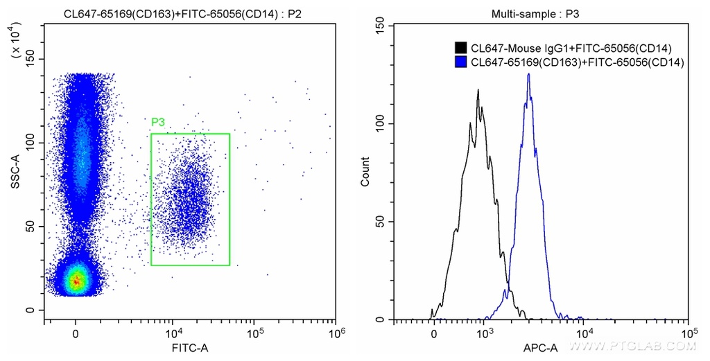 CoraLite®647 Anti-Human CD163 (GHI/61)