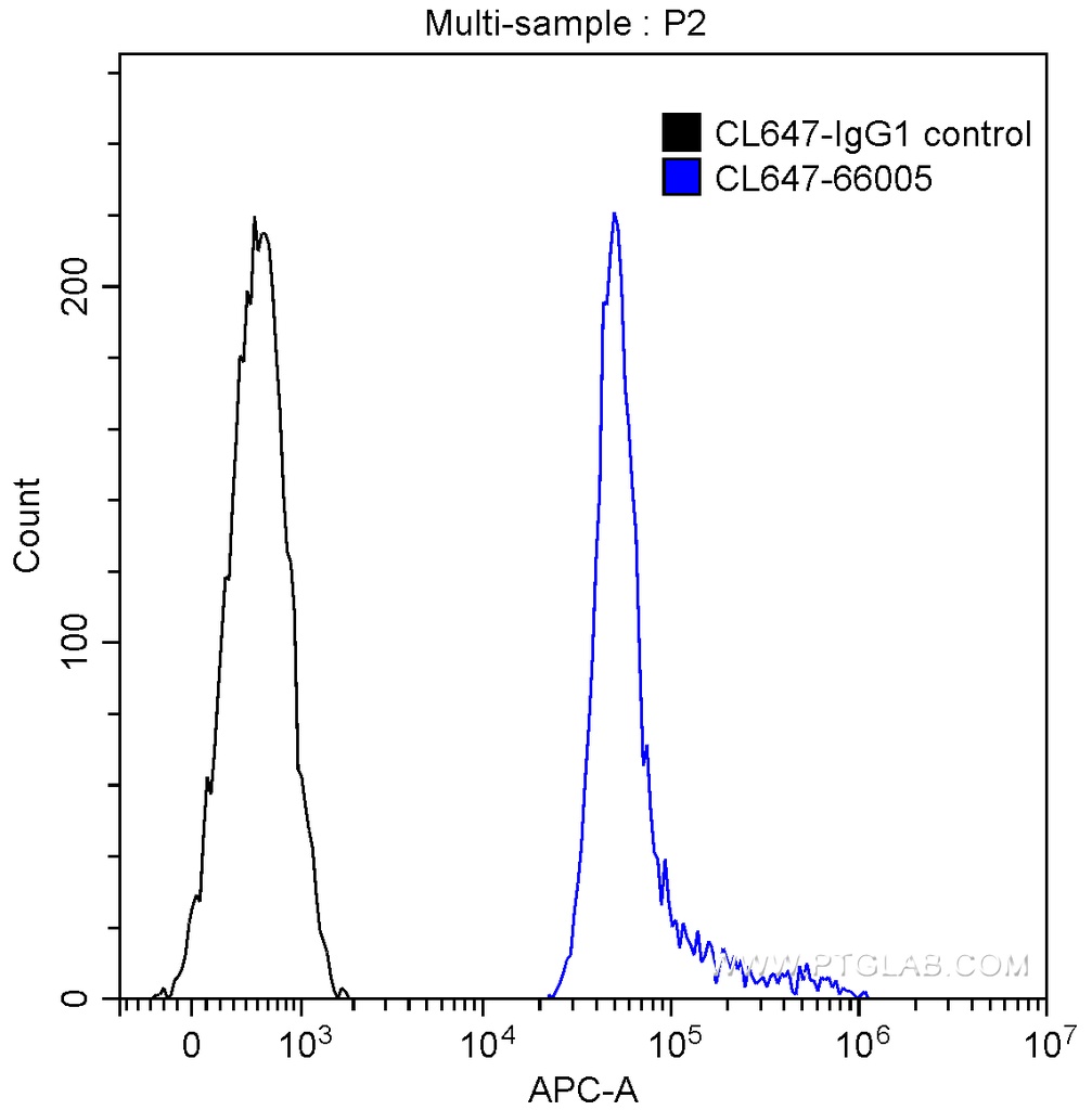 CoraLite®647-conjugated 6*His, His-Tag Monoclonal antibody
