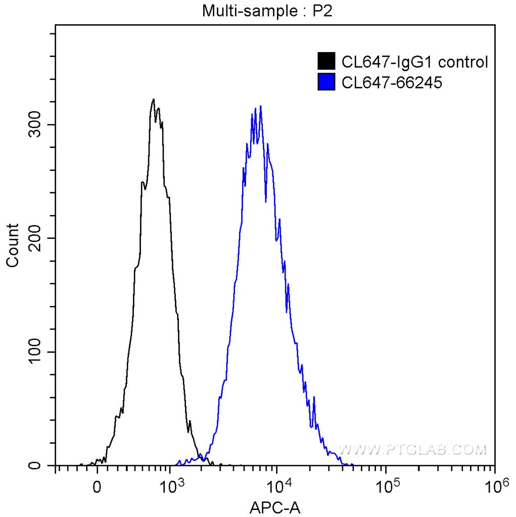 CoraLite®647-conjugated Annexin V Monoclonal antibody