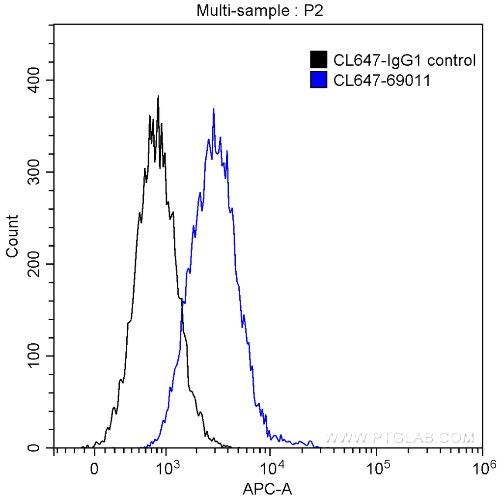CoraLite®647-conjugated BMP-7 Monoclonal antibody