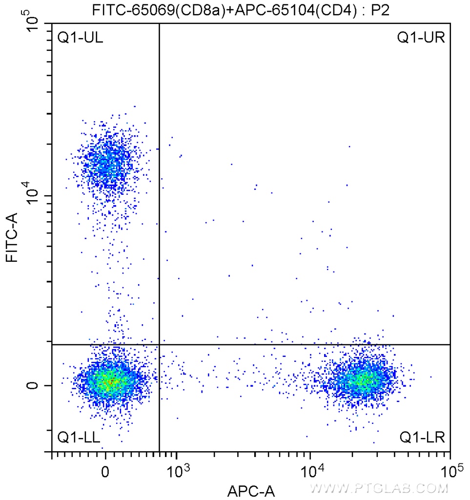 FITC Anti-Mouse CD8a (53-6.7)