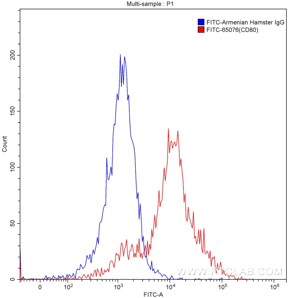 FITC Anti-Mouse CD80 (B7-1) (16-10A1)