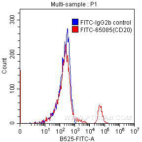 FITC Anti-Human CD20 (2H7)