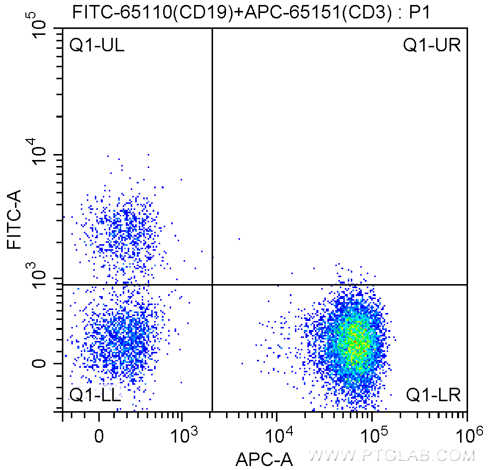 FITC Anti-Human CD19 (HIB19)