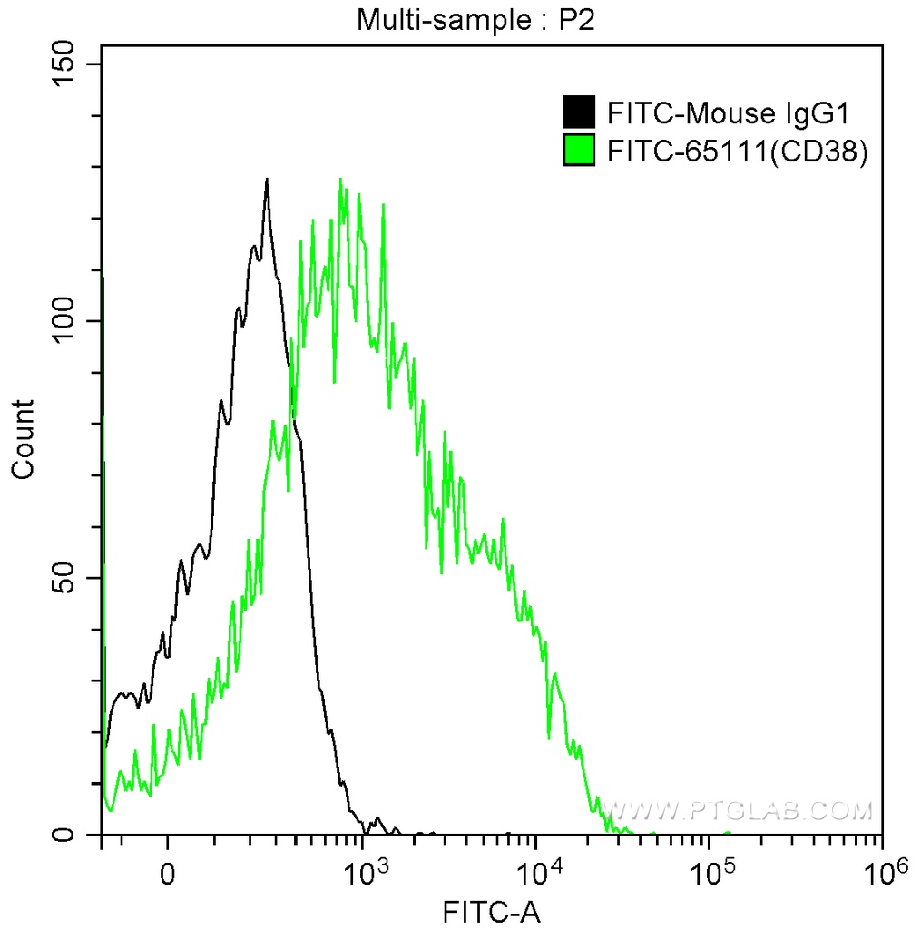 FITC Anti-Human CD38 (HIT2)