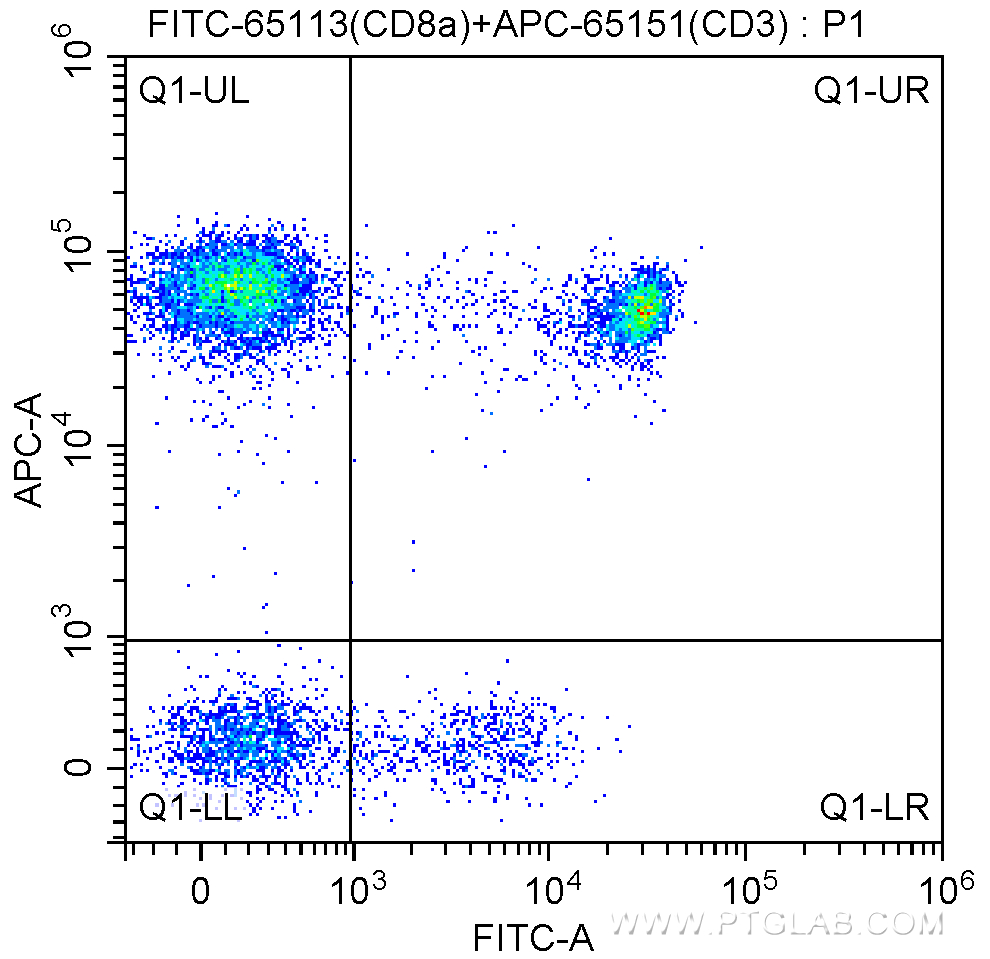 FITC Anti-Human CD8a (Hit8a)