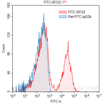 FITC Anti-Mouse MHC Class II (I-A/I-E) (M5/114.15.2)
