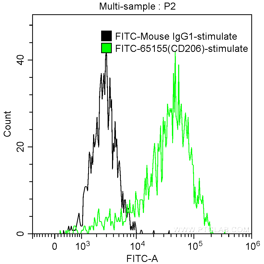 FITC Anti-Human CD206 (15-2)