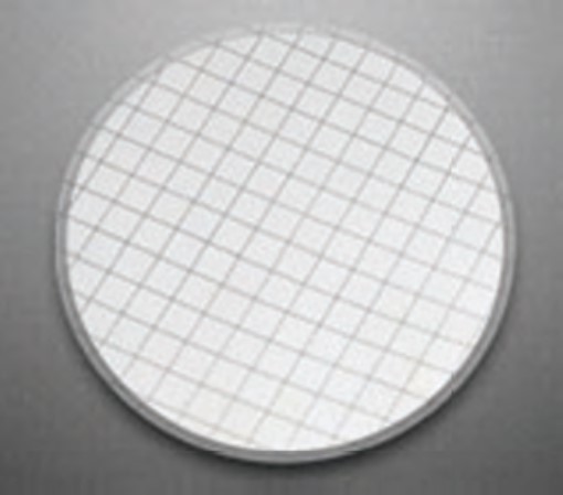 Gridded Cellulose  Nitrate Membrane