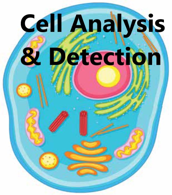 Crystal Violet Cell Culture Tested [TC510]