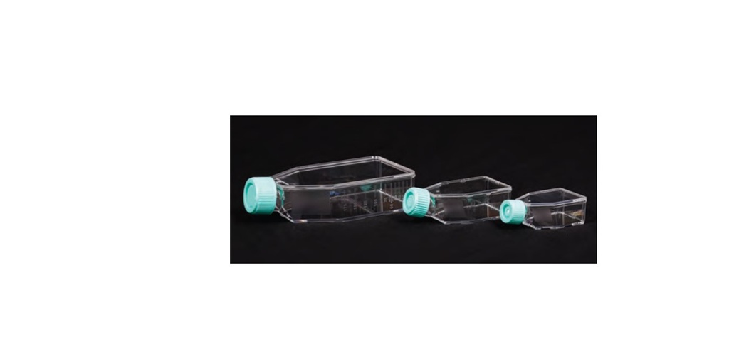 Tissue Culture Flask, treated, vented cap, 25 ml volume,surface 12.5 cm2 [TCG2]