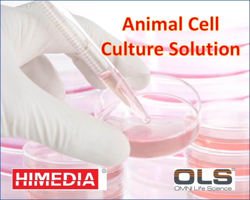 Heparin Solution, 1000 units/ml Sterile filtered Cell culture tested   
