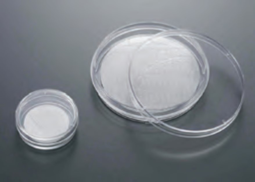 Cell Culture Scaffold, 35mm Dish