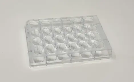CEROplate 24 well plate (F-bottom), ultra- low attachment (24x1 plates)