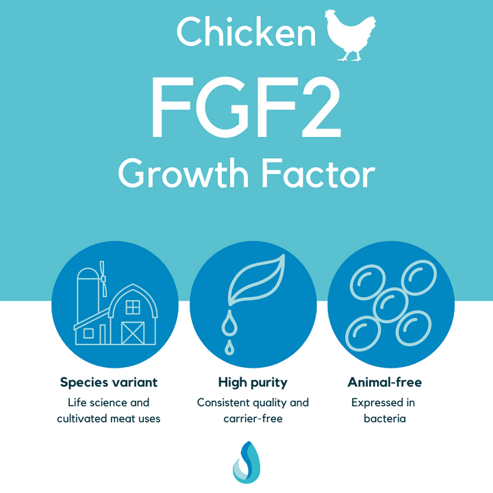 FGF2 (chicken) growth factor, LSR-202