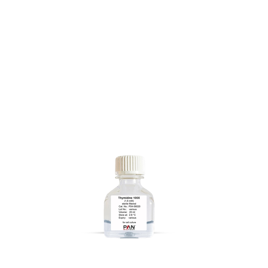 Thymidine 100 X (1.6 mM), 20 ml