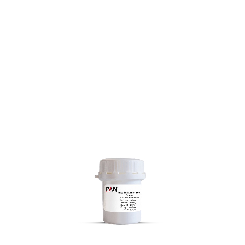 Insulin human rec., Ph.Eur., Powder, 100 mg