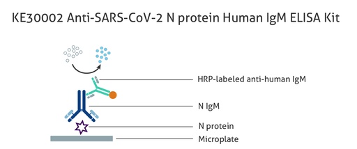 [KE30002-96T]   Anti-SARS-CoV-2 N protein Human IgM  ELISA Kit