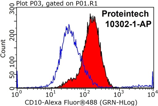 [10302-1-AP-20UL] MME,CD10 Polyclonal antibody