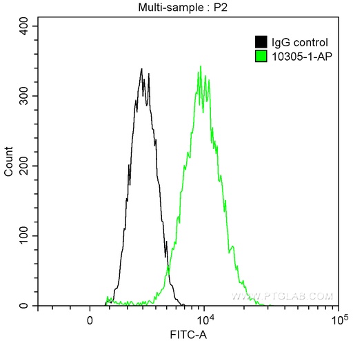 [10305-1-AP-150UL] PLK1 Polyclonal antibody